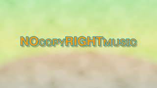 Lost Sky - Fearless pt. Il (feat. Chris Linton) [Music Video Edit]NoCopyRightMusic ||