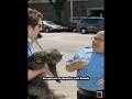 Es un gato SARNOSO. #iasip #comedia #shorts #series