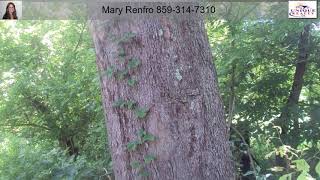 1 Red Lick Rd Irvine KY 40336
