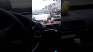 Çakır Ah Ulan Sevda