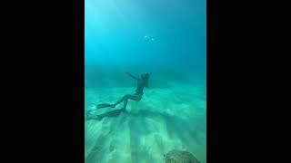 Diver Blows a Bubble Ring and Swims through It