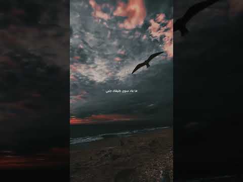 انا كلي محمد حيدر عواضة