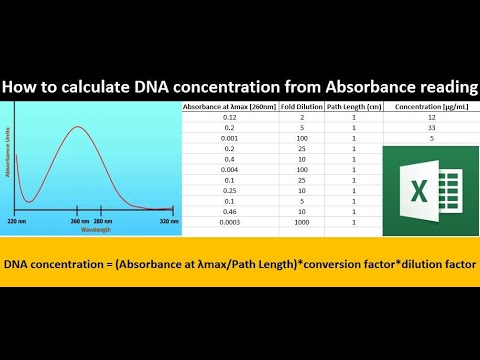 Video: Hvordan finner du konsentrasjonen av DNA fra absorbans?