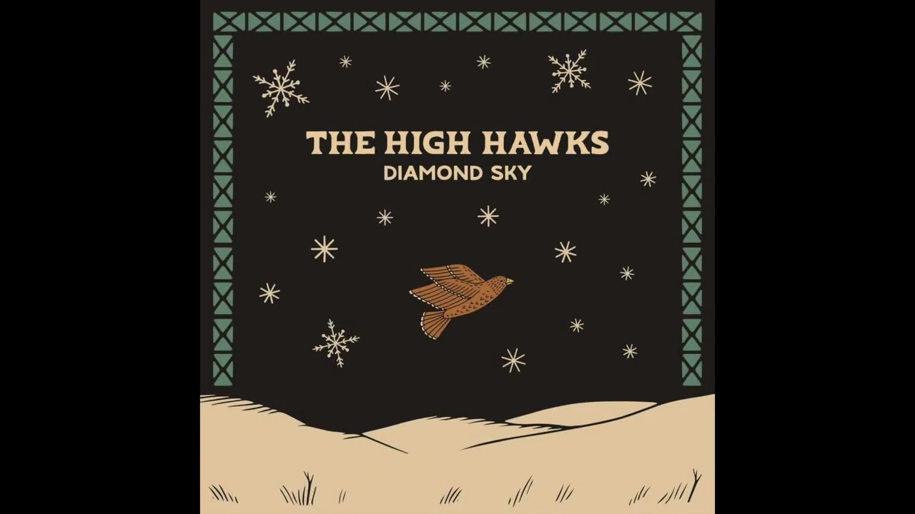 The High Hawks   Diamond Sky Official Music Video