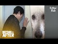 Poodle Dog Observes And Stalks The Guardian 24/7 | Before & After Makeover Ep 41