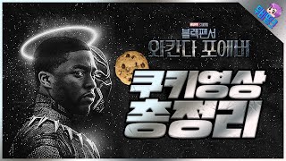 ≪블랙팬서: 와칸다 포에버≫ 숨겨진 쿠키 영상 총정리 & 떡밥 분석