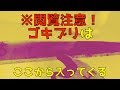 必ず役立つ！ゴキブリはどこから入ってくるのか？侵入経路と室内で見ないようにする対策