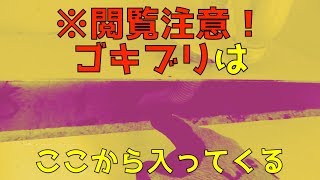 必ず役立つ！ゴキブリはどこから入ってくるのか？侵入経路と室内で見ないようにする対策