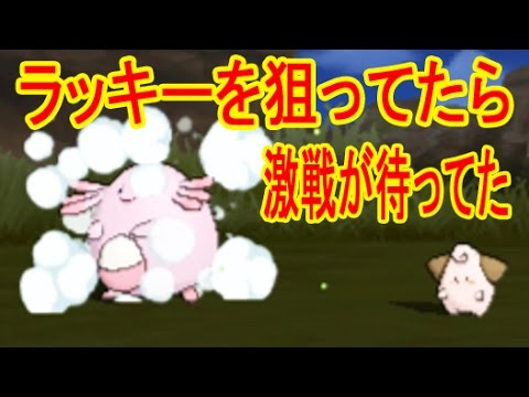 ピィが呼ぶラッキーを捕まえに行ったら予想外の激戦が待っていた ポケットモンスター サン ムーン つちのこ実況 Youtube