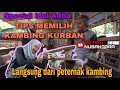 KAMBING KURBAN YANG BAGUS|| SATWA NUSANTARA