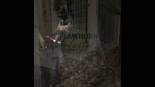 JJ Lawhorn -"The Cost of a Good Hound"- Official Video