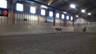 Cosan 140316