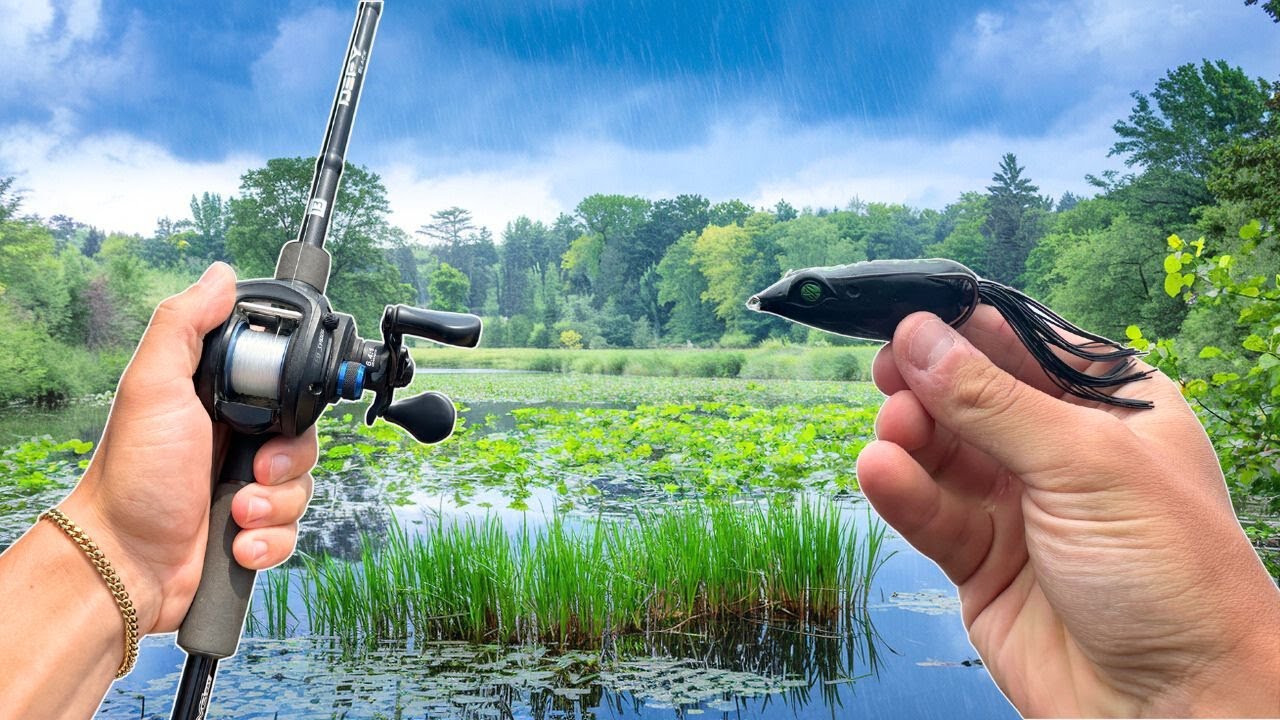 Only Fishing TOPWATER Lures For MONSTER Bass!