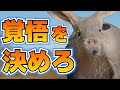 足掻くツチブタ、容赦なくしばかれる
