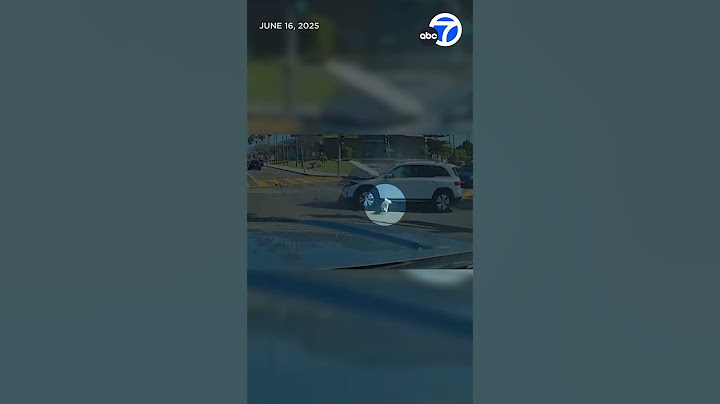 Dog thrown out of car during crash