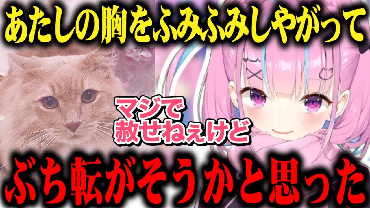 ベッドで寝ていると飛び乗って胸をふみふみしてくる甘えん坊なむーちゃんをブチ転がそうとしてしまう湊あくあｗ【切り抜き/ホロライブ】