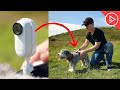 Dog Testing the Insta360 GO 3!