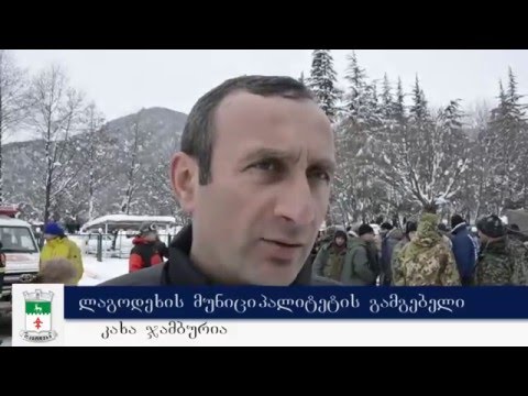 სამძებრო სამაშველო სამუშაოები