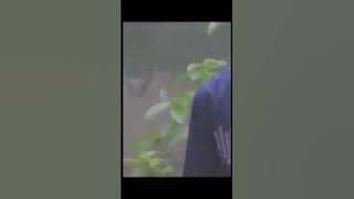 Alwi Assegaf FEAT Aminah yoshida Assegaf—Ayah ibu