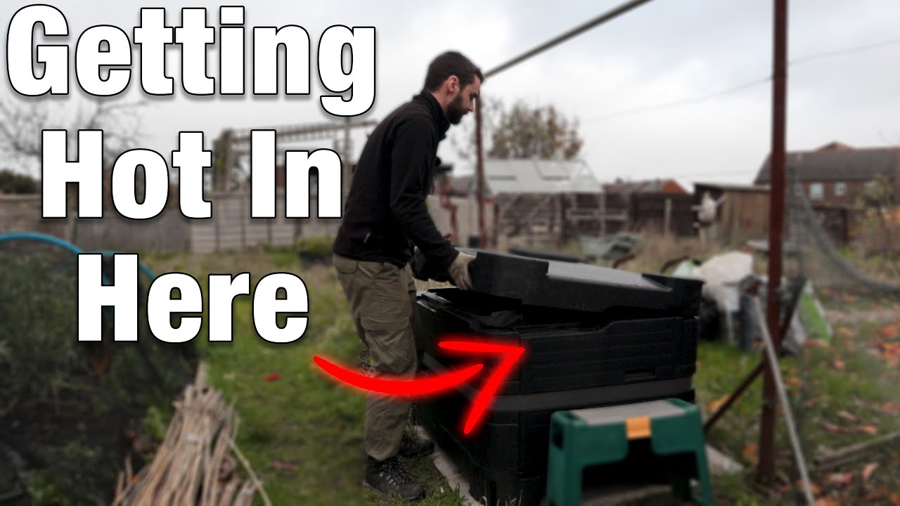 Hot Bin is Warming Up Planting Garlic! YouTube