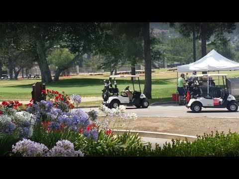 4 Best Golf