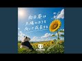 向日葵は太陽のほうを向いて成長する