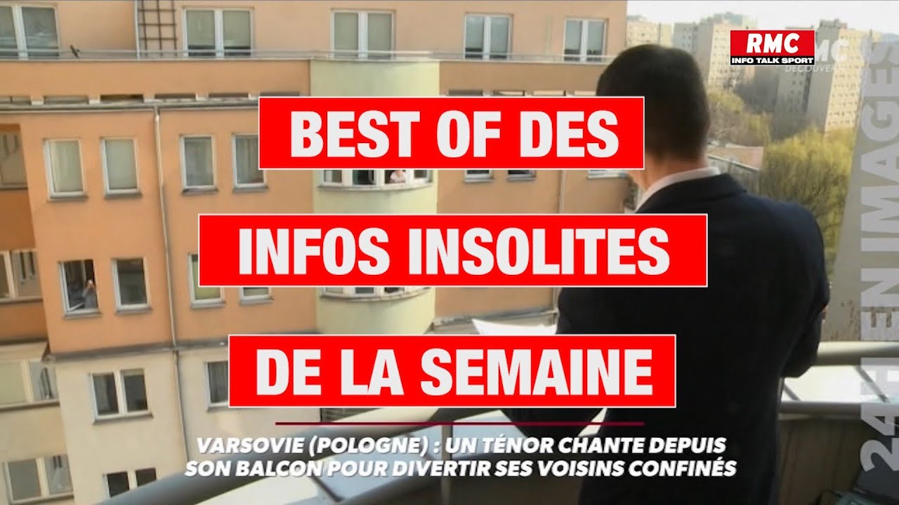 Le best of des infos insolites de la semaine - YouTube