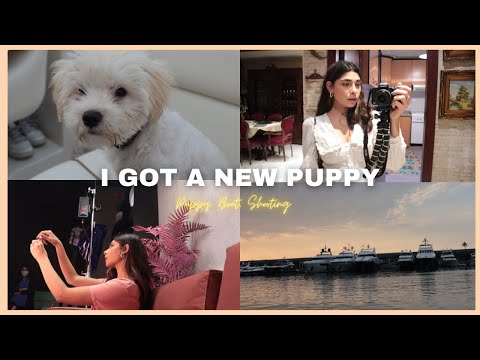VLOG 17|  I GOT A NEW PUPPY -حصلت على كلب جديد🐶