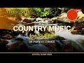 Peaceful Country Vibes - Rainy Forest 4K | 10 min