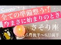 さそり座♏️2026年5月後半〜6月前半🌝全て揃ったんじゃないかな？噛み合う始まりの合図、リズムに乗る、収穫と余裕、実りのとき