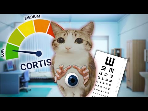 ASMR para bajar el cortisol | examen de ojos