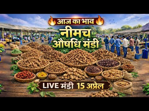 नीमच औषधि मंडी आज का ताज़ा भाव | दुर्लभ जड़ी-बूटियों की LIVE मंडी । Neemuch Mandi। Sanjay Dhakad