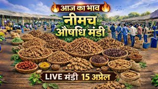 नीमच औषधि मंडी आज का ताज़ा भाव | दुर्लभ जड़ी-बूटियों की LIVE मंडी । Neemuch Mandi। Sanjay Dhakad