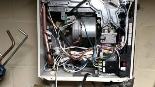 Trashing My Noritz Tankless Water Heater