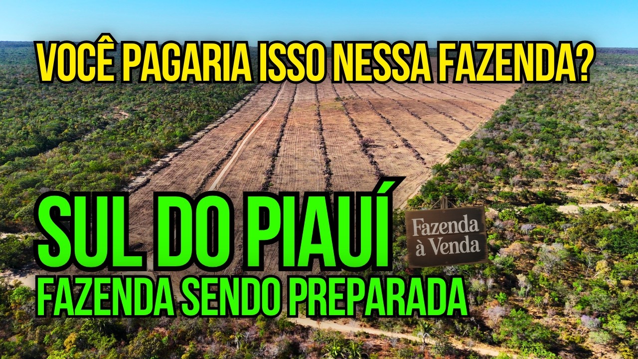 FAZENDA À VENDA COM 1185 HA EM BLOCO ÚNICO NO MATOPIBA NOBRE