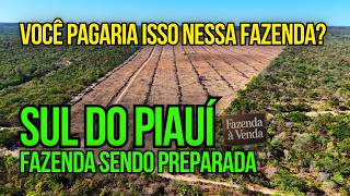 Farm for sale at an unbelievable price in southern Piauí. screenshot 2