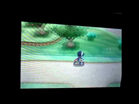Como obter um Pichu que sabe Volt tackle (Pokemon X / Y)
