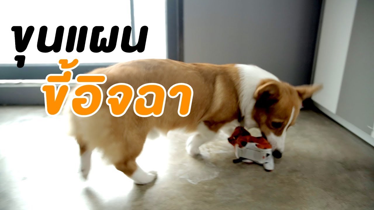 ขุนแผนขี้อิจฉา