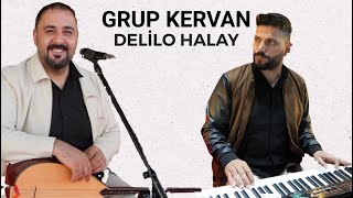 Grup Kervan - Delilo Kürtçe Halay [2025 Live ]