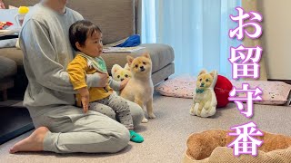 【お留守番】独身男と愛犬が子守りをするとこうなります…笑