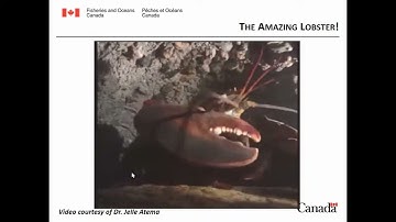 Helen Gurney-Smith | Research Scientist: How Will Climate Change Affect Key Species?