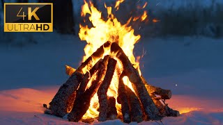 🔥 Cozy Campfire in the Winter Forest (10 HOURS) 4K Ultra HD 🔥 Burning Logs & Crackling Fire Sounds