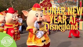 Lunar New Year 2019 | Disneyland Lunar New Year 2019 | Disneyland