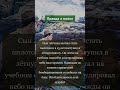 Отчаянная храбрость #общество #антропология #народы #этнография #средневековье #история #политическа