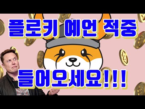   플로키 FLOKI 코인을 이미 1달 전에 최저점에서 매수 하라고 올린 유튜버 Feat 일론머스크 밈코인 매수 구매 방법 베이비도지 베도지