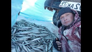 видео: Рыбалка в Де-Кастри 2022. Ловля корюшки в заливе Чихачева с 26.02 по 05.03. 2022 года картинка: Рыбалка в Де-Кастри 2022. Ловля корюшки в заливе Чихачева с 26.02 по 05.03. 2022 года