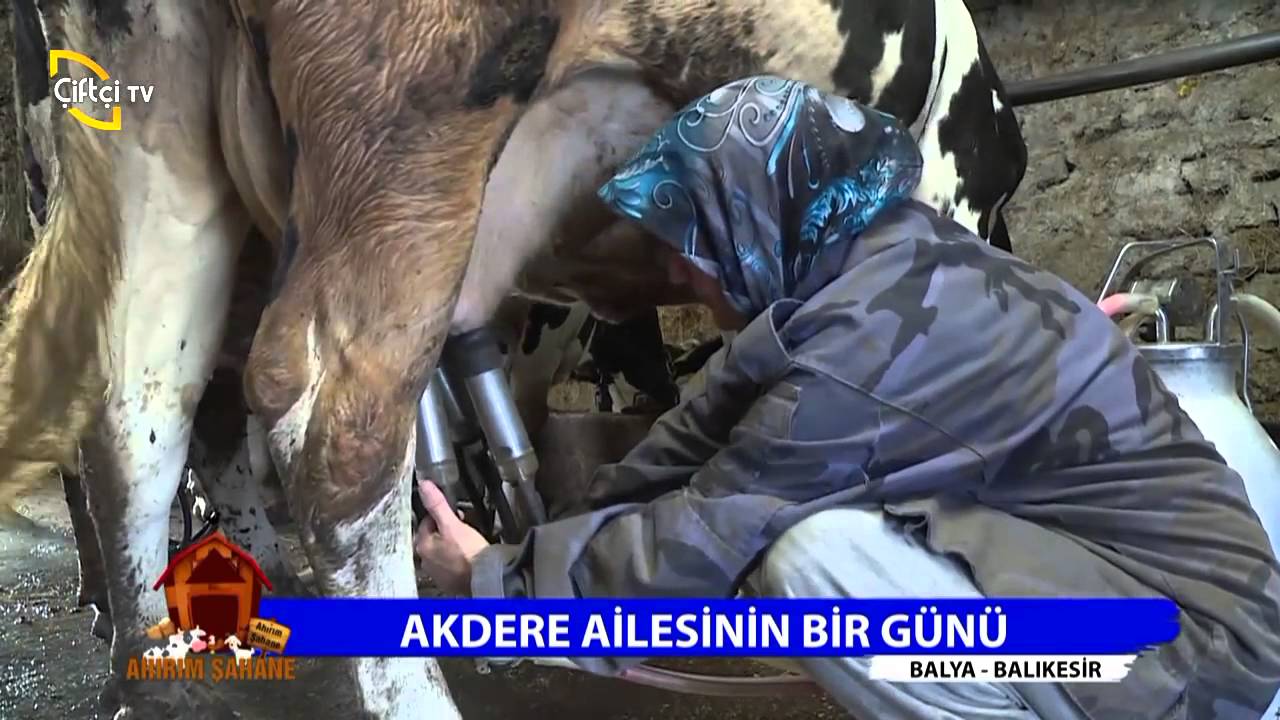 Ahırım Şahane 1.Bölüm Balıkesir - Balya Köyü