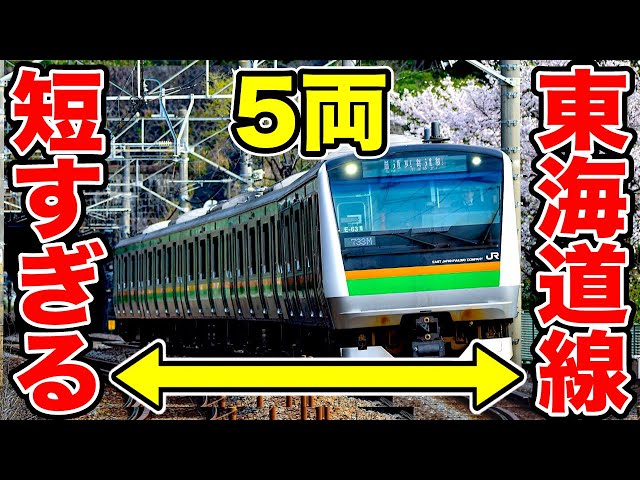 No Green Cars] This Tokaido Main Line is too short lol - YouTube