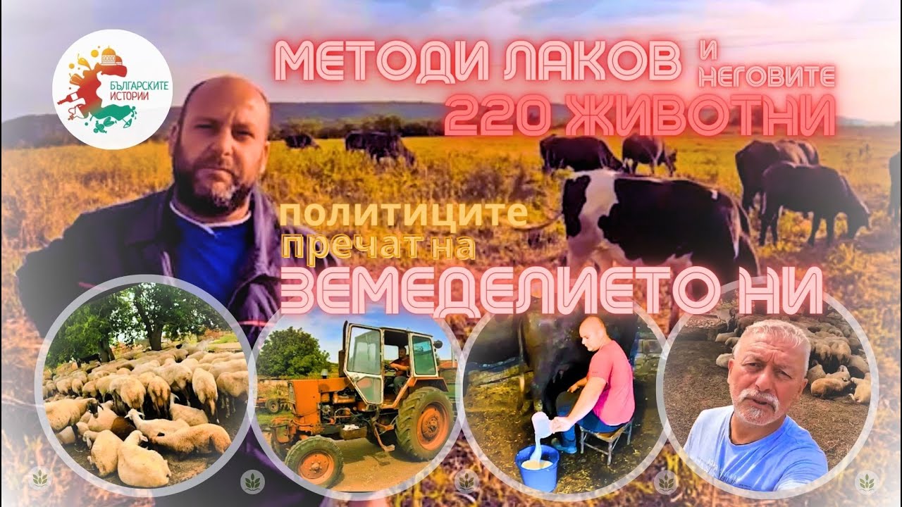 17-летний Пламен заботится о 220 животных.