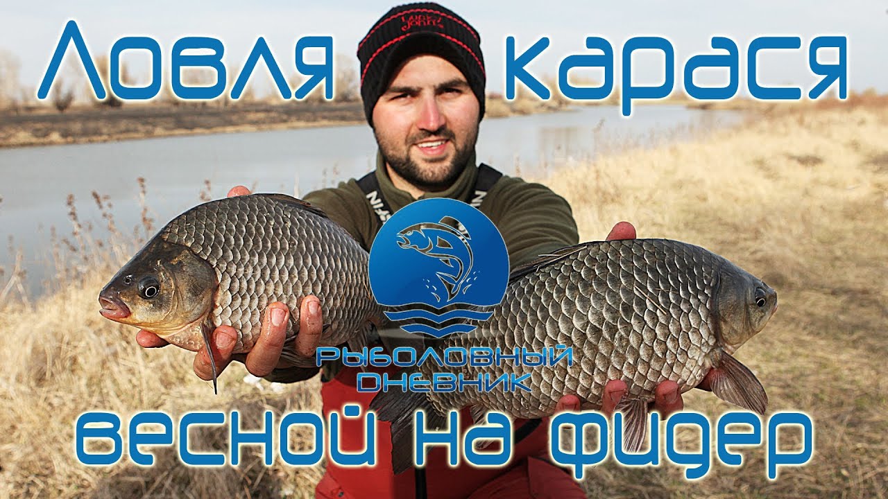 Рыбалка на карася 2024. Рыбалка с Олегом. Карась весной.